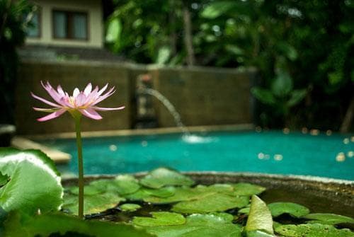 Villa Surya Mas 01